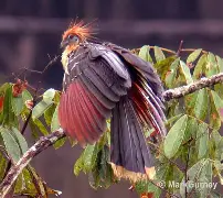 kaiyun开云-皬BX??暓:o遹?喬鹼Yu?5麝Ld斴溬擥:u的简单介绍